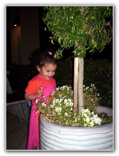 Ebony Inglewood Hotel 2006 2